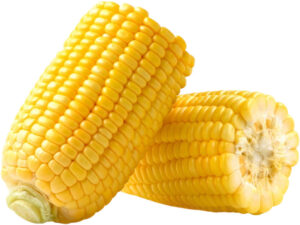 Sweet Corn 1kg 1kg